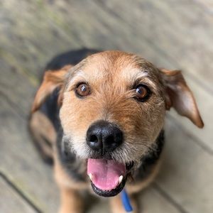 Meet your Posher, Jason